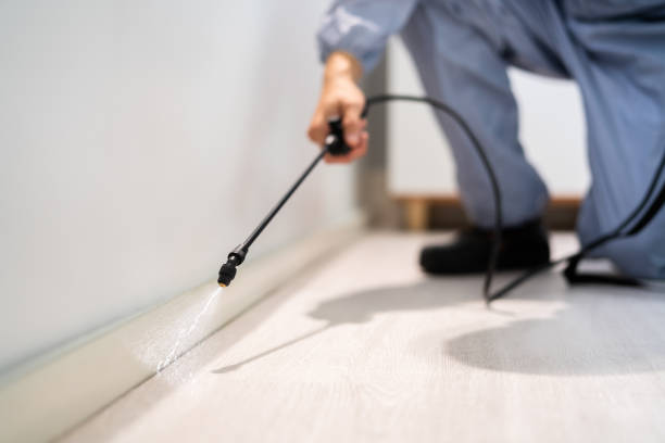 Licensed Rodent Control service in Sullivan County County, IN - Nex Pest Control